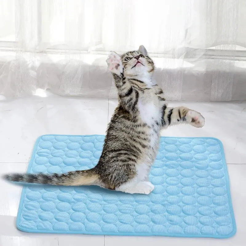 Haustier Kühlmatte (für Katzen und kleine Hunde)